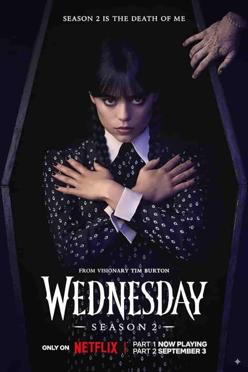 IPTV THE FOX - Horror Comedy Movie Streaming